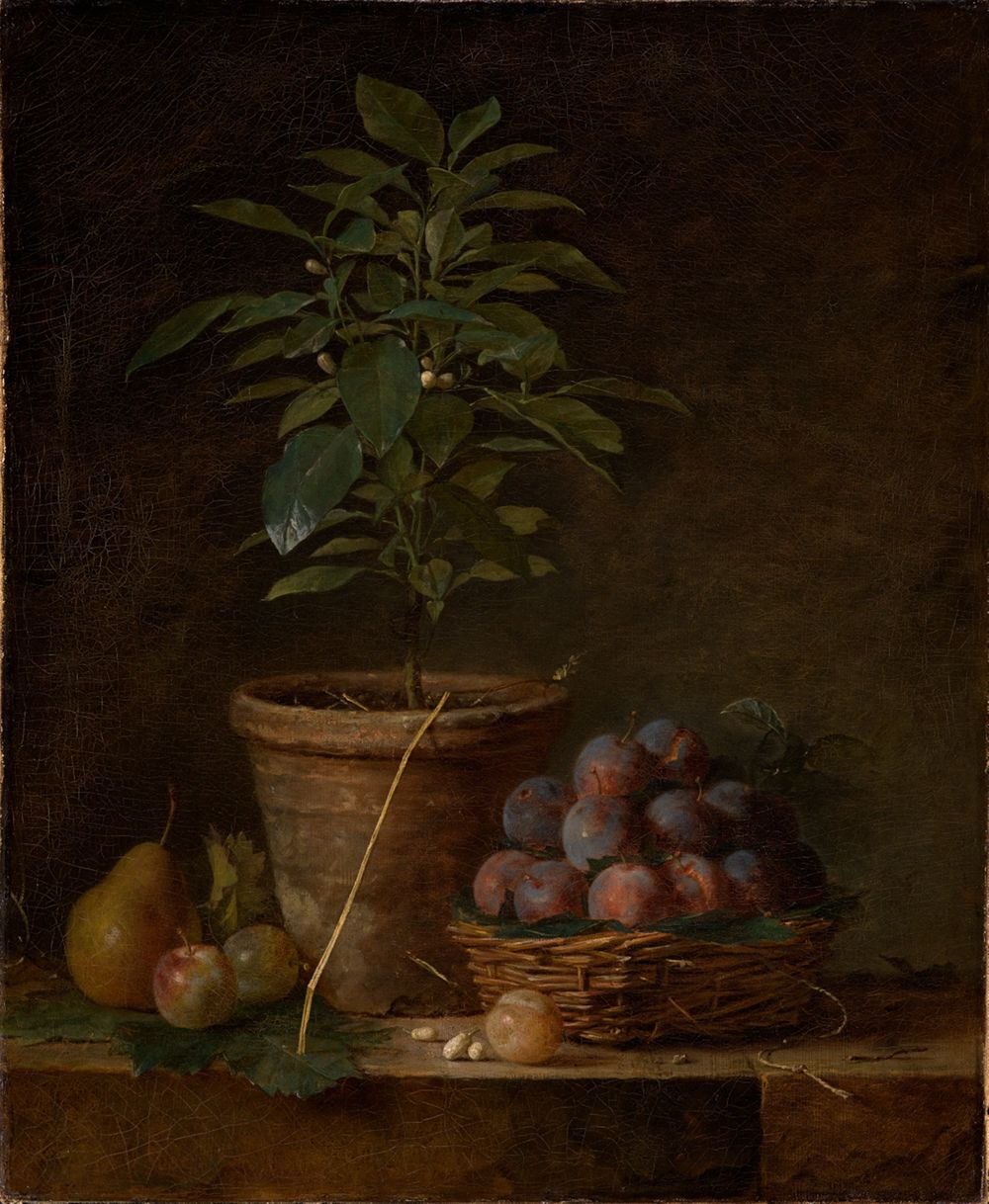 Henri Horace Roland de la Porte - Das Orangenbäumchen