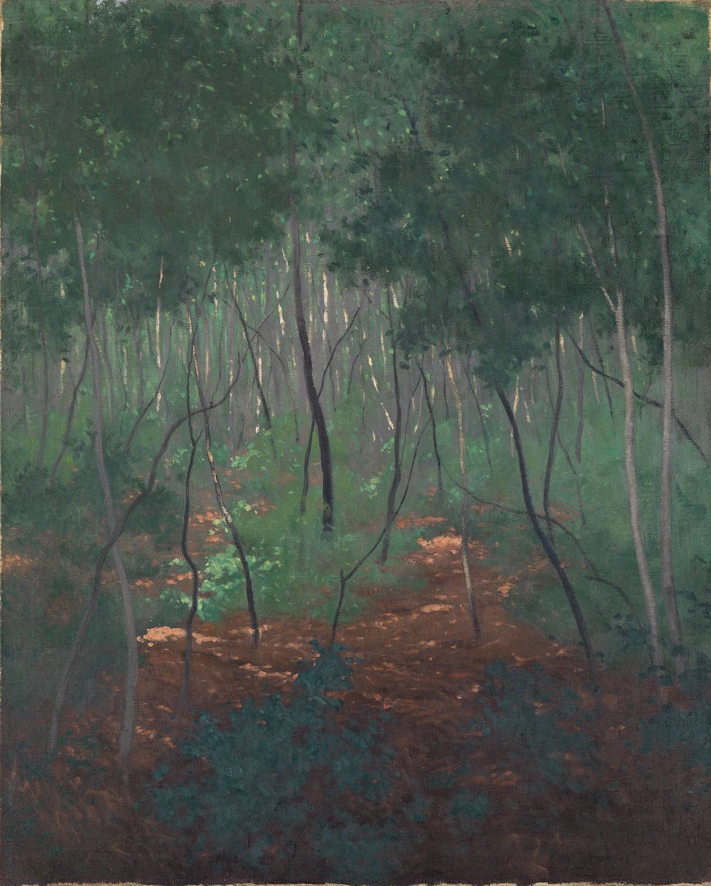 Félix Vallotton - Waldinneres