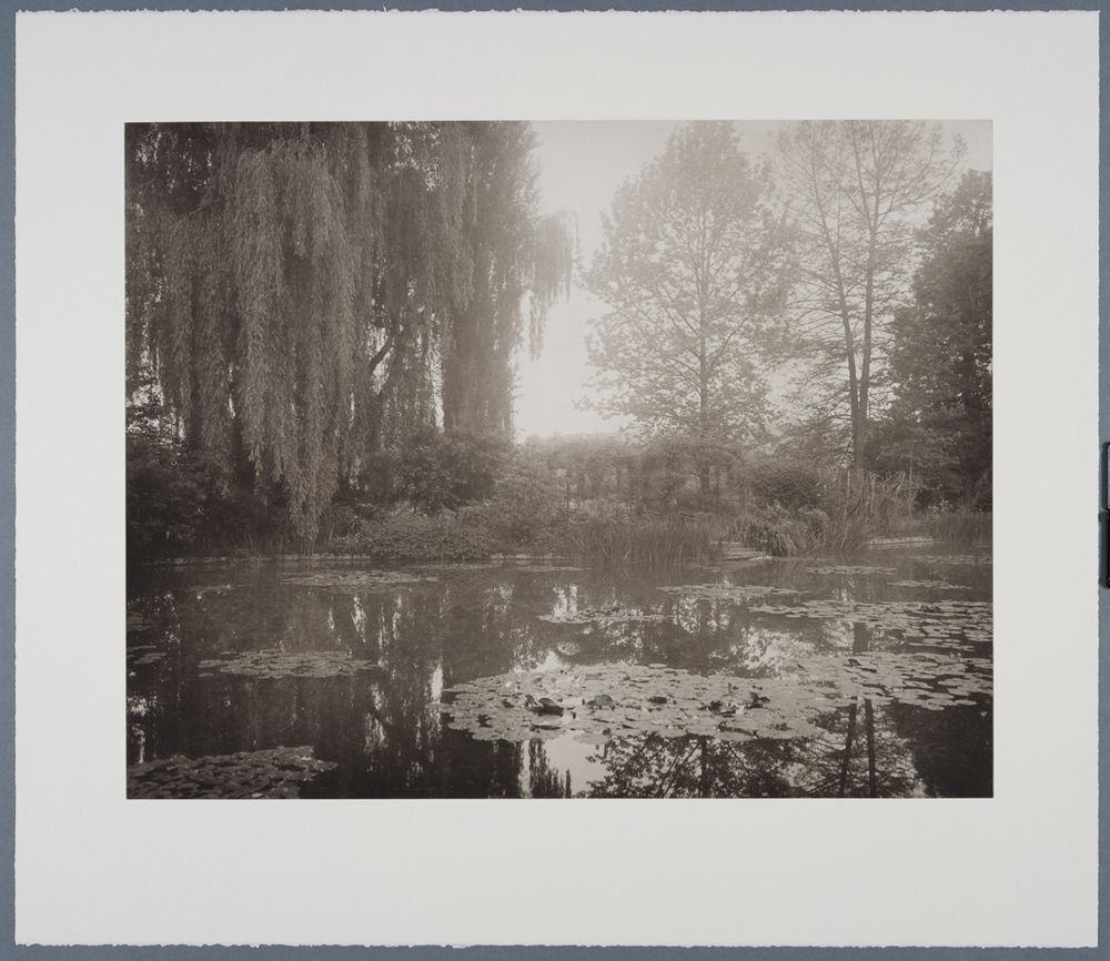 Elger Esser - Combray (Giverny IV)