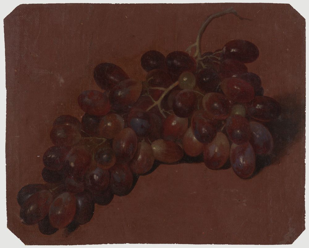 Charles William Hamilton - Große rötliche Traube, nach links liegend, auf rotbraunem Grund
