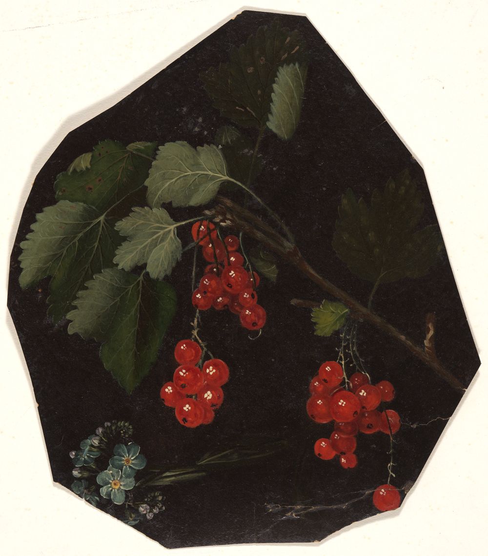 Charles William Hamilton - Zweig mit roten Johannisbeeren und ein Stengel Vergissmeinnicht