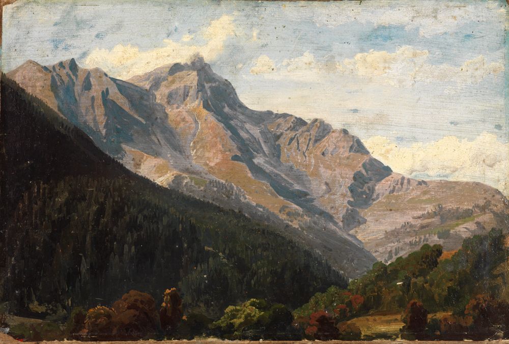 Johann Wilhelm Schirmer zeigt eine Bergwelt. Im Vordergrund fließt ein klarer Bach über Felsen und Wiesen. Große, schroffe Berge mit schneebedeckten Spitzen ragen im Hintergrund in den Himmel. Einige Nadelbäume stehen an den Hängen.