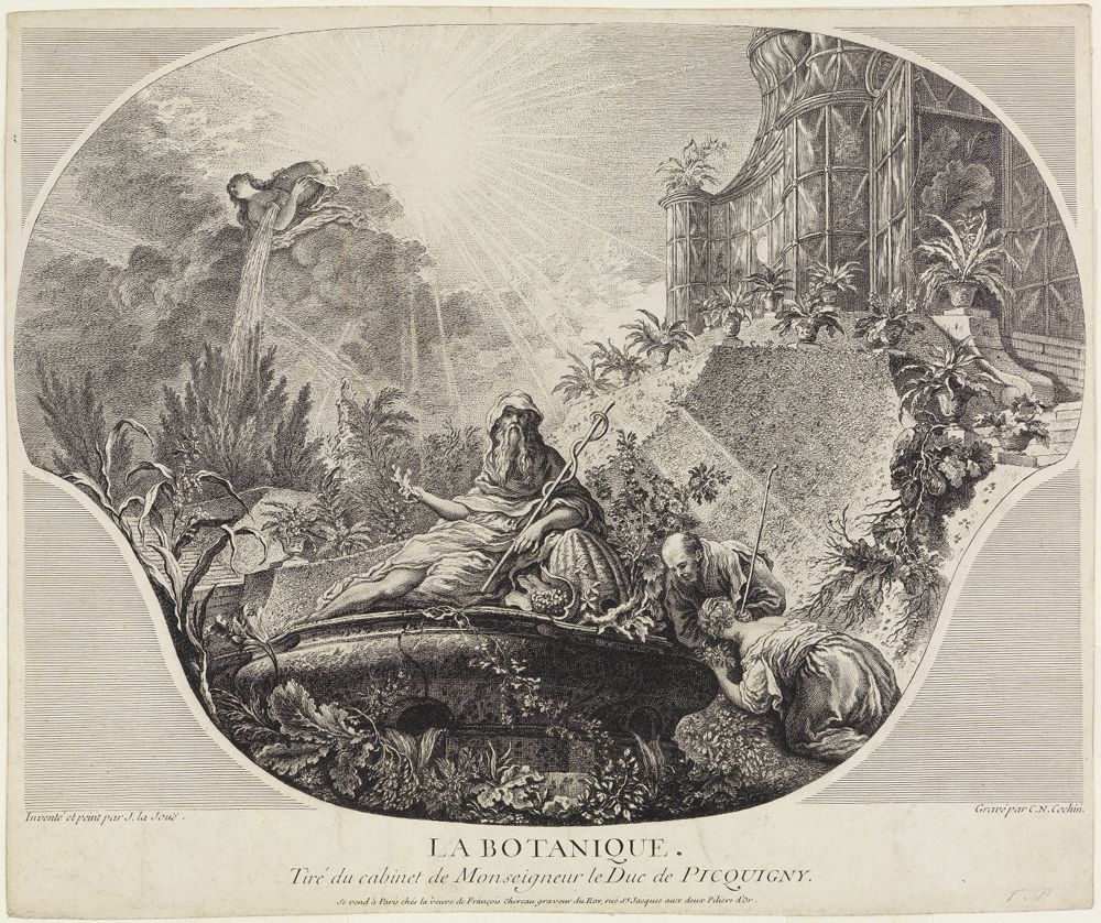 Charles Nicolas Cochin (1688) - Die Botanik