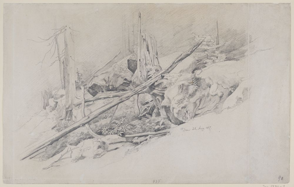 Edmund Friedrich Kanoldt - Abschüssige Waldpartie mit Felsen und Baumstümpfen