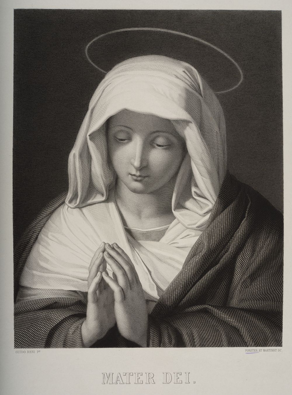 François Forster - Mater Dei