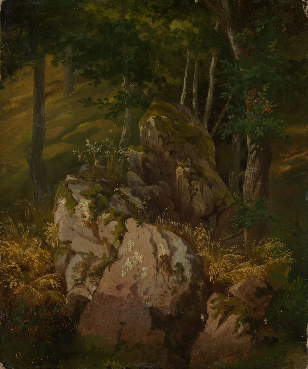 Gustav Osterroht - Waldinneres