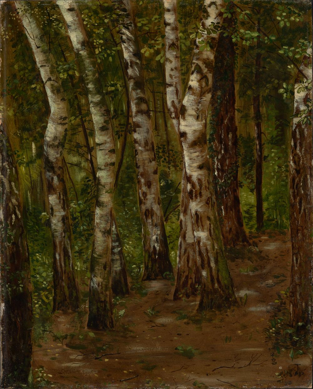 Cella Thoma - Birkenstämme