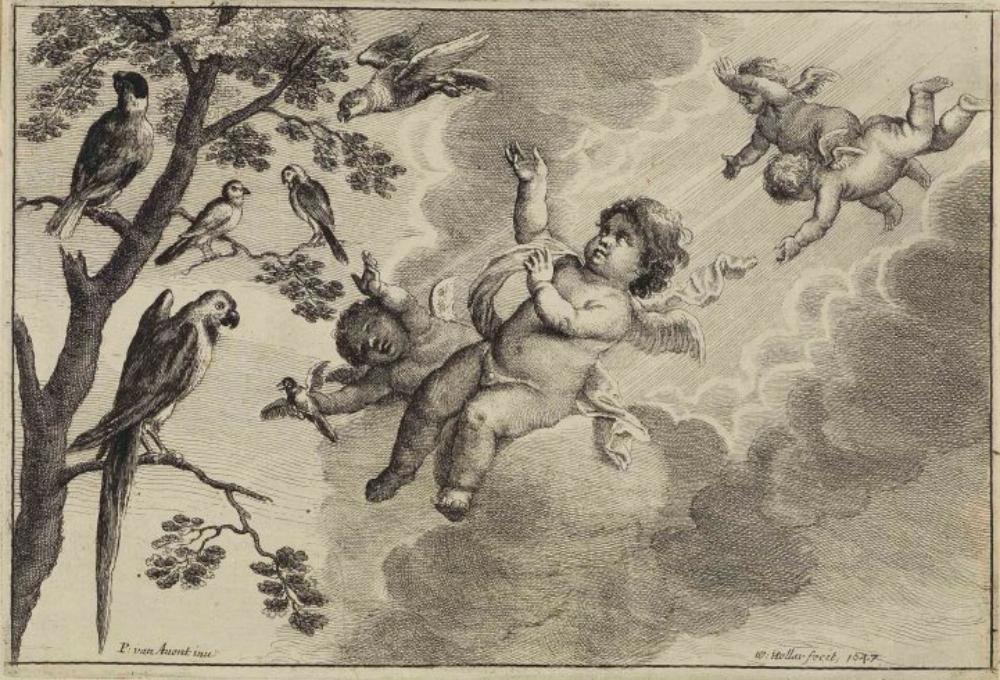 Wenzel Hollar - Die Luft
