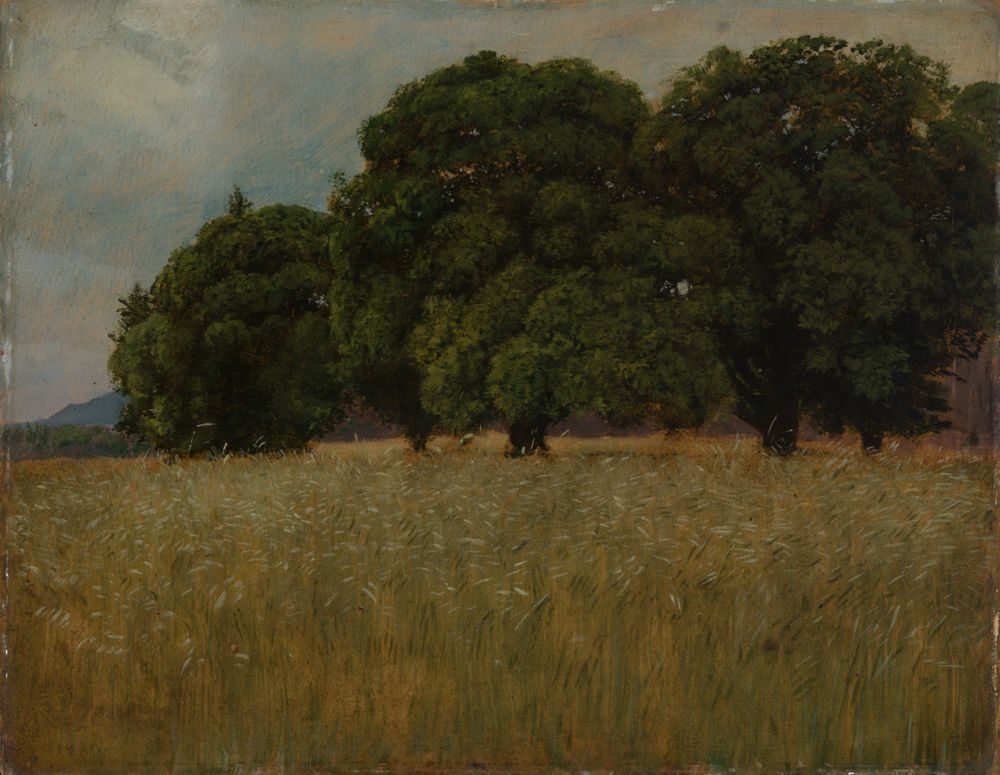 Hans Thoma - Kornfeld mit Laubbäumen