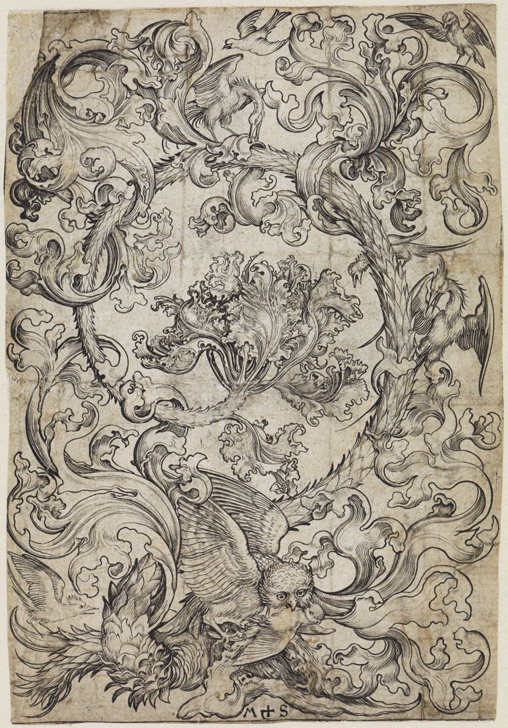 Martin Schongauer - Ornament mit einer Eule und Vögeln