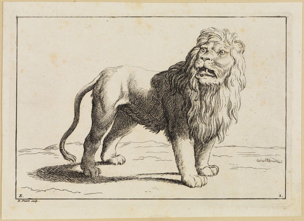 Bernard Picart (1673) - Schlafende Löwin und Löwin an einer Kette