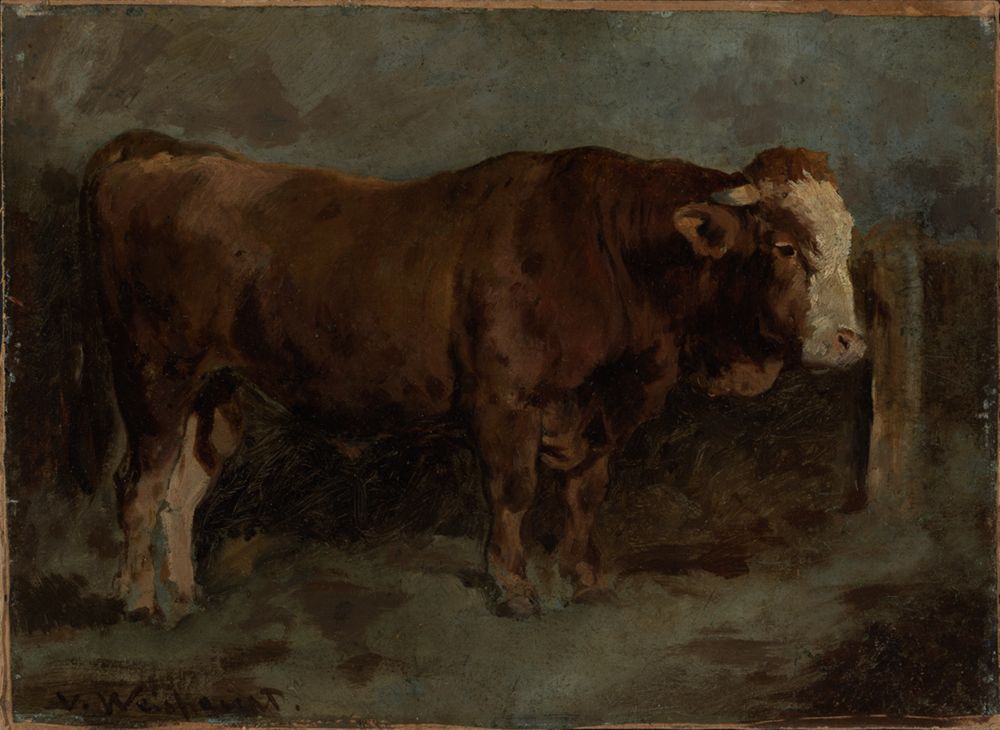 Victor Weishaupt - Junger Stier