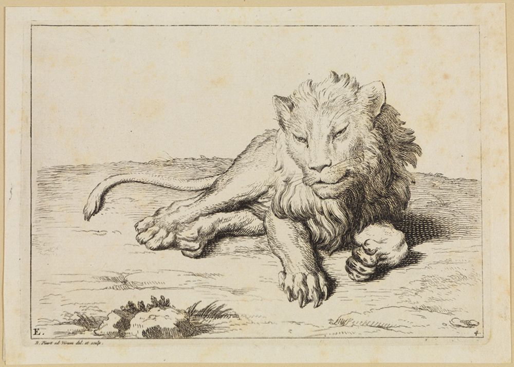 Bernard Picart (1673) - Drei Löwenköpfe im Profil und Halbprofil