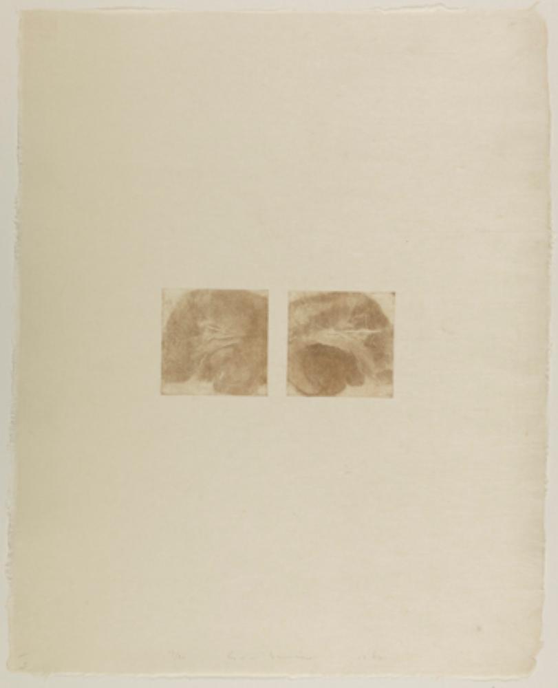 Gotthard Graubner - Simulacrum V