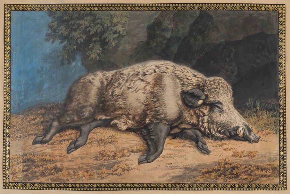 Wilhelm Tischbein (1751) - Erlegter Eber