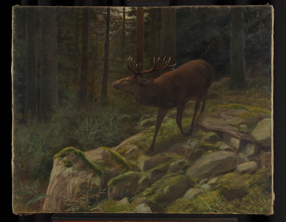 Otto Fikentscher (1862) - Röhrender Hirsch