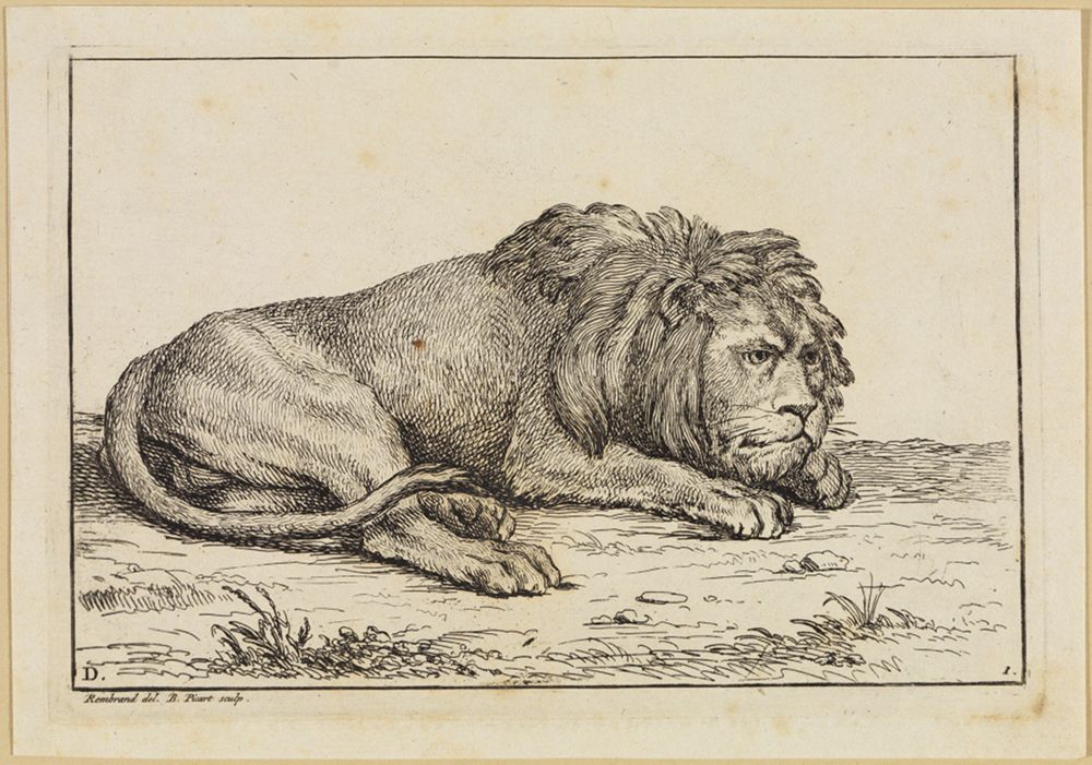 Bernard Picart (1673) - Löwenkopf