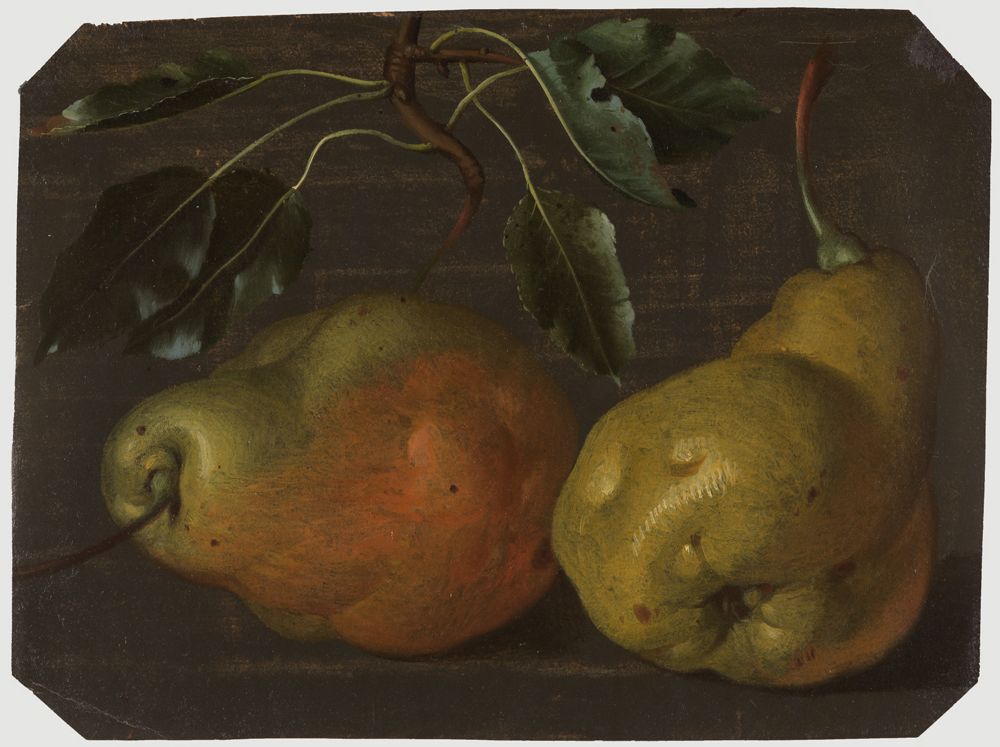 Charles William Hamilton - Zwei große Birnen auf Tischplatte