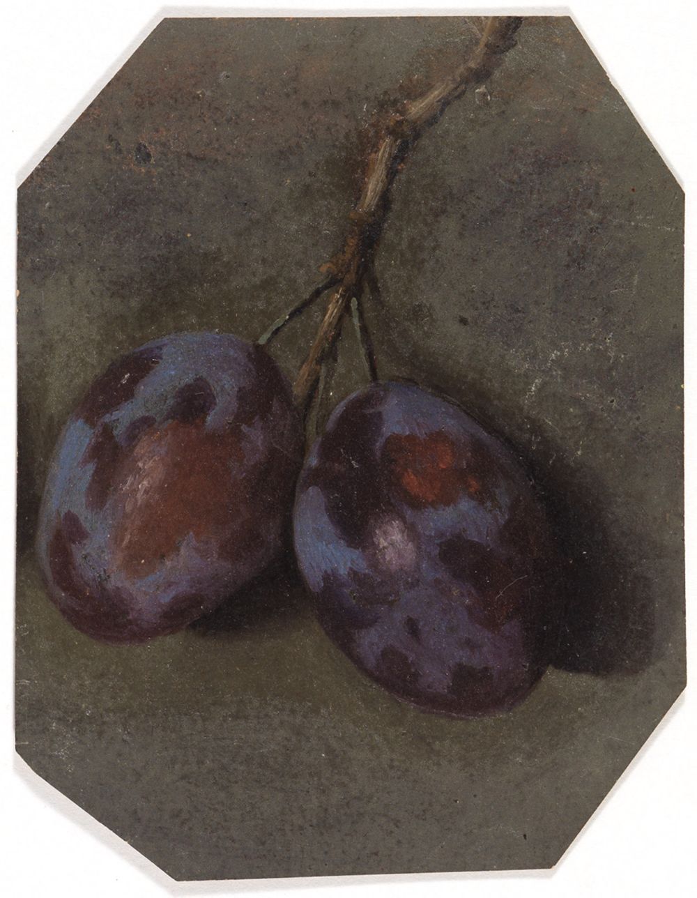 Charles William Hamilton - Stiel mit zwei Pflaumen