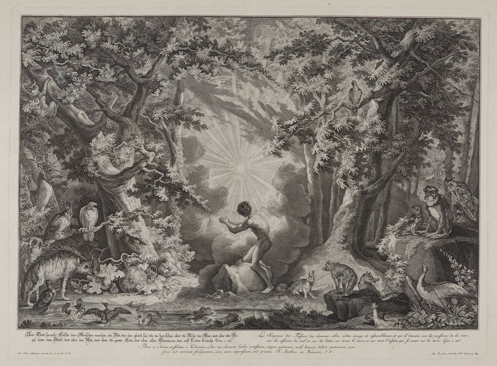 Johann Elias Ridinger - Und Gott sprach: Lasset uns Menschen machen (...)