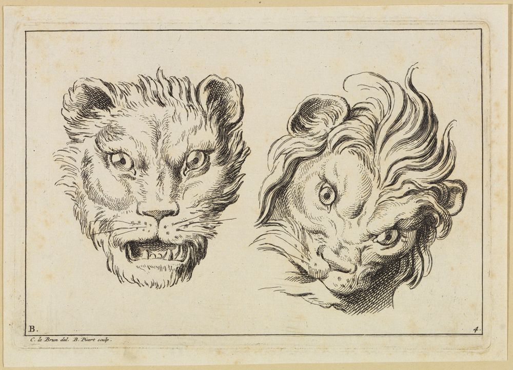 Bernard Picart (1673) - Stehender Löwe mit geöffnetem Maul nach rechts