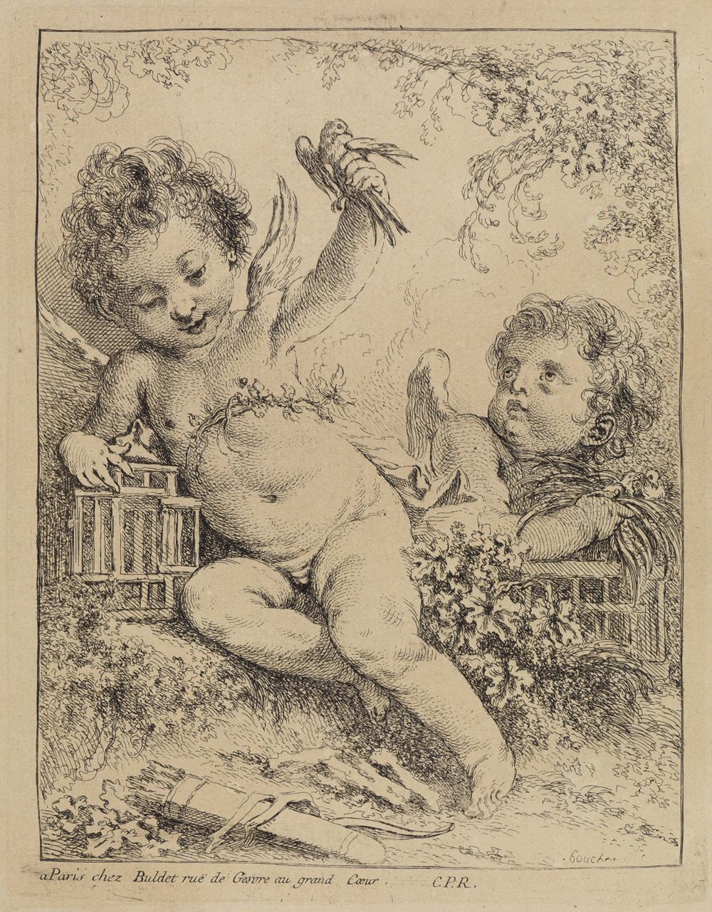 François Boucher - La tourterelle mise en cage