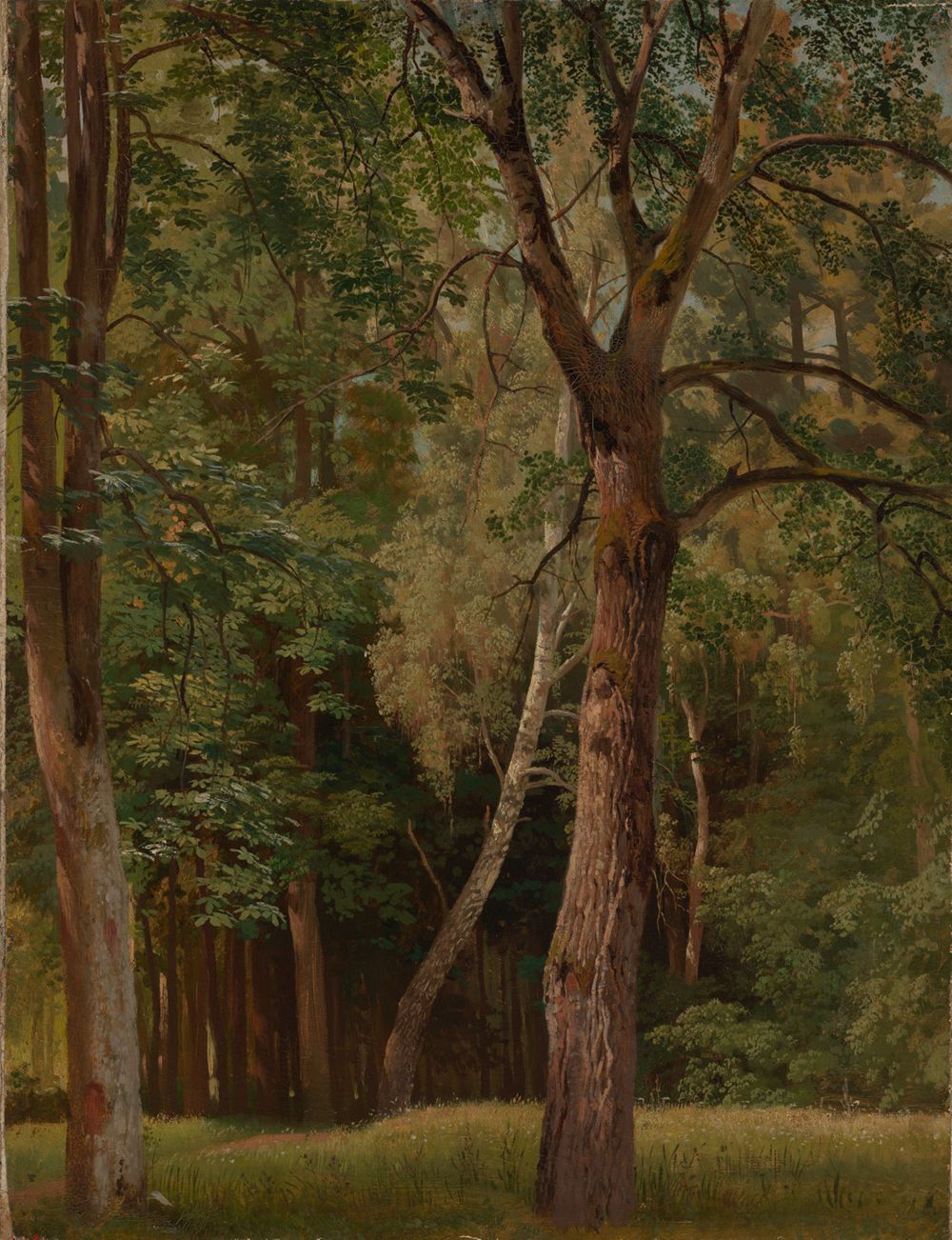 Johann Wilhelm Schirmer - Laubwald mit Kastanien und Birken