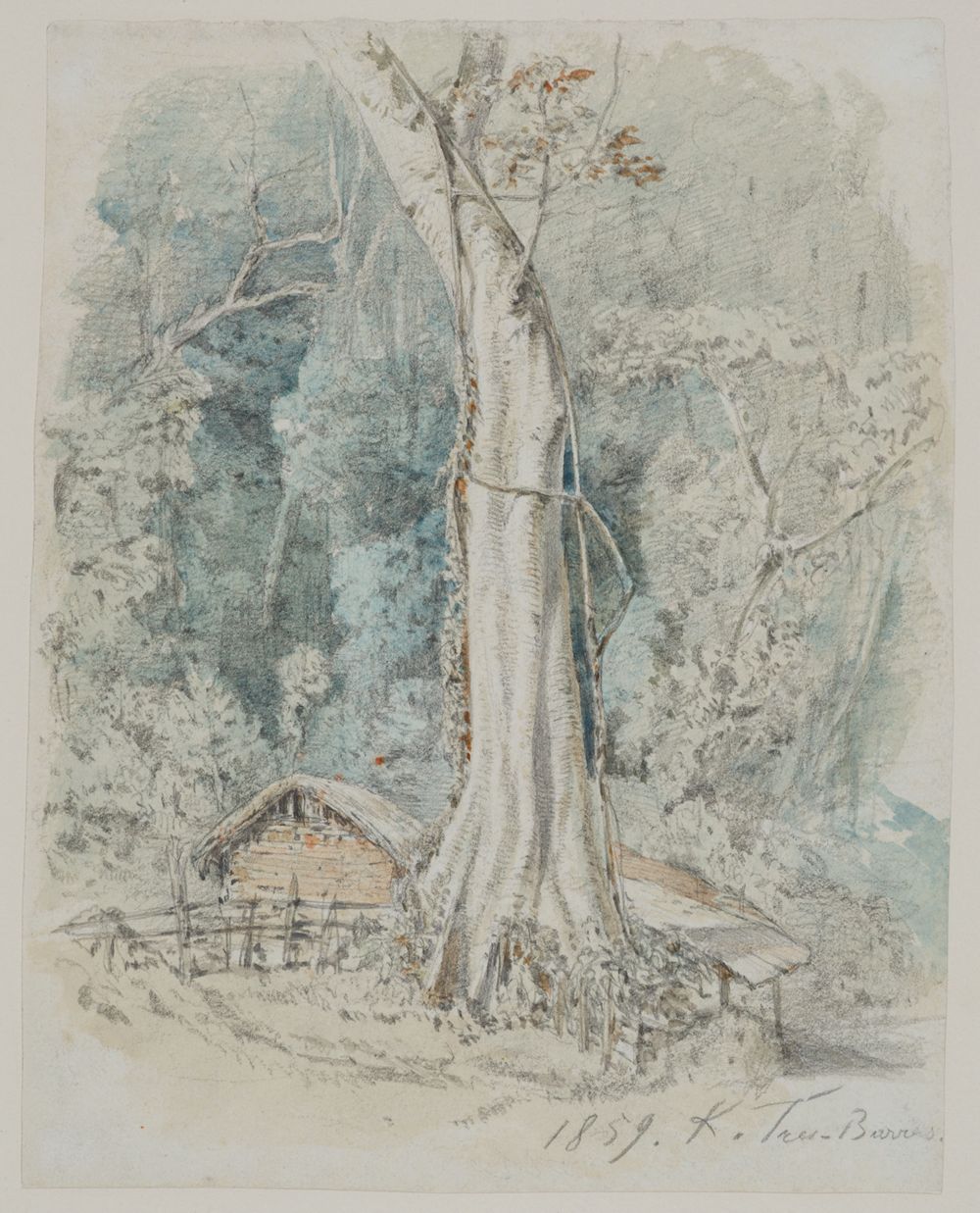 Ferdinand Keller - Haus mit Unterstand im Urwald bei Tres-Barras