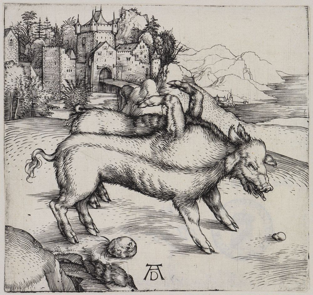 Albrecht Dürer - Die Missgeburt eines Schweins (Die wunderbare Sau von Landser)