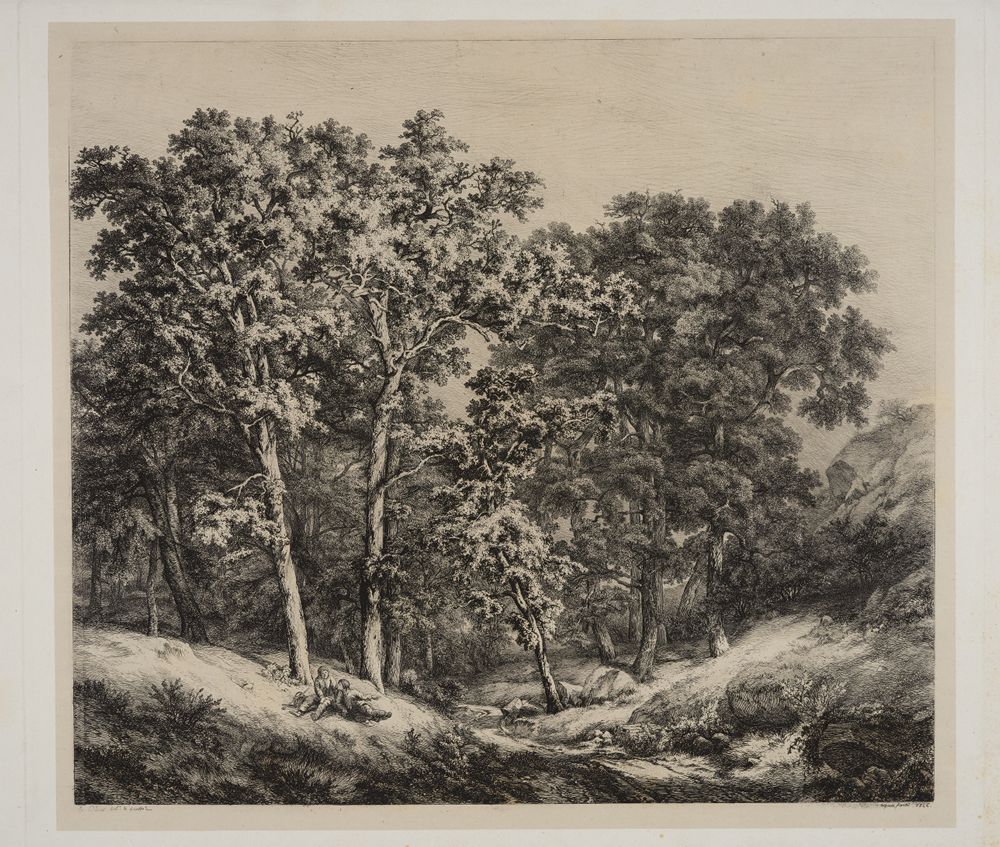 Eugène Bléry - La grande forêt (Waldlandschaft)