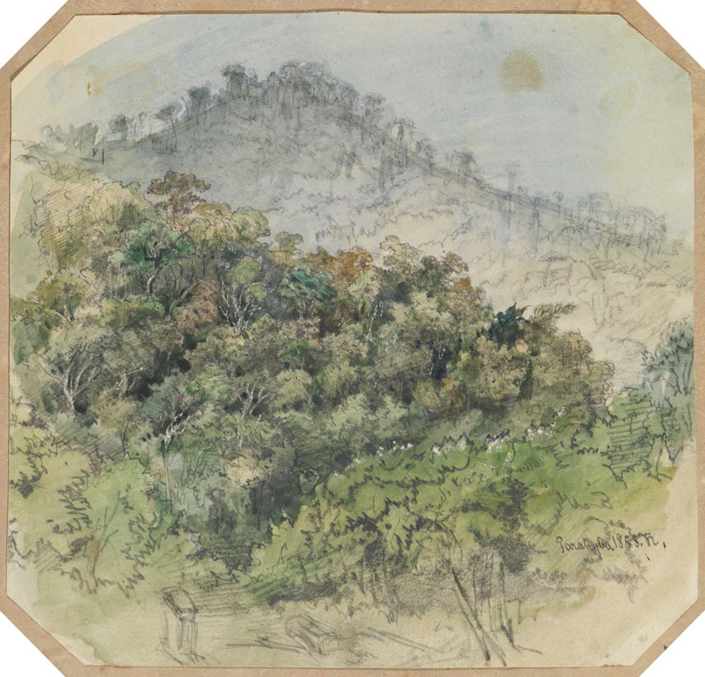 Ferdinand Keller - Urwaldansicht in den Bergen