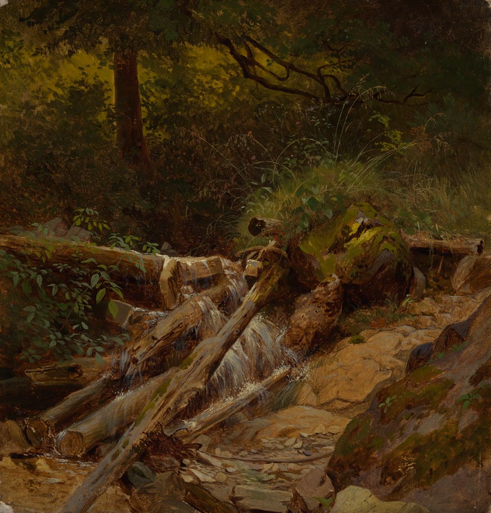 Gustav Osterroht - Waldbach