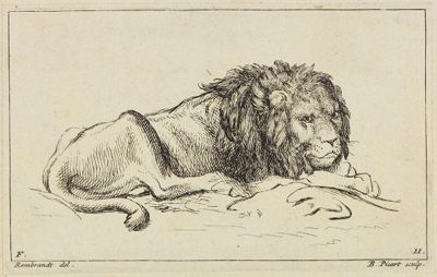 Bernard Picart (1673) - Liegender Löwe nach rechts