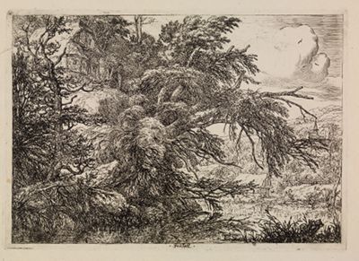 Jacob Isaackszoon van Ruisdael - Bauernhaus auf einem Hügel