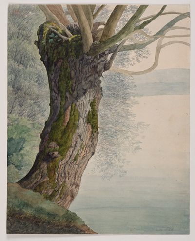 Karl Heinrich Albert Kayser - Weide am See