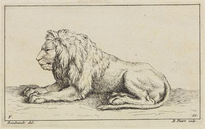 Bernard Picart (1673) - Liegender Löwe im Profil nach links