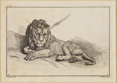Bernard Picart (1673) - Schlafende Löwin und Löwin an der Kette