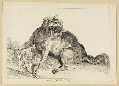 Jean Eric Rehn - Wolf in der Falle