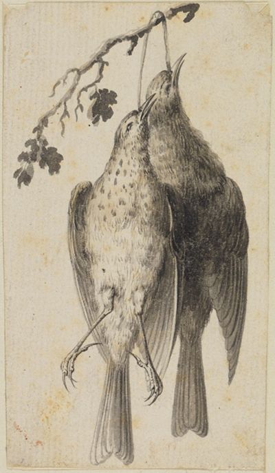 Johannes Esaias Nilson - Zwei tote Vögel
