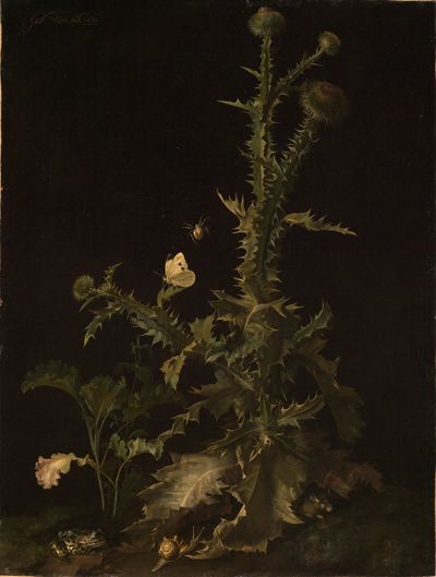 Willem van Aelst - Distel mit verschiedenen Tieren