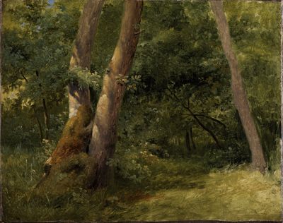 Achille Etna Michallon - Waldinneres