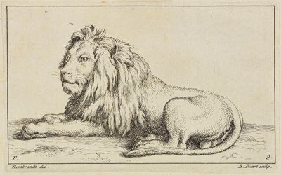 Bernard Picart (1673) - Stehender Löwe nach rechts