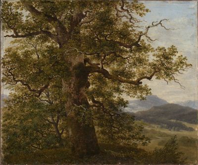 Georg Wilhelm Issel - Eichbaum in Landschaft