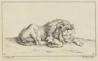 Bernard Picart (1673) - Schlafender Löwe nach rechts