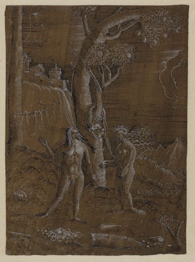 Albrecht Altdorfer (Umkreis) - Der Sündenfall