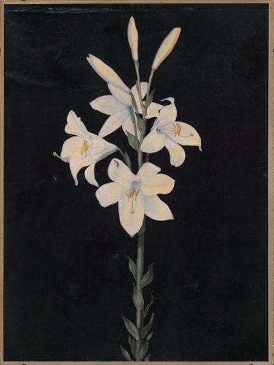 Georg Philipp Schmitt - Lilienstengel auf schwarzem Grund
