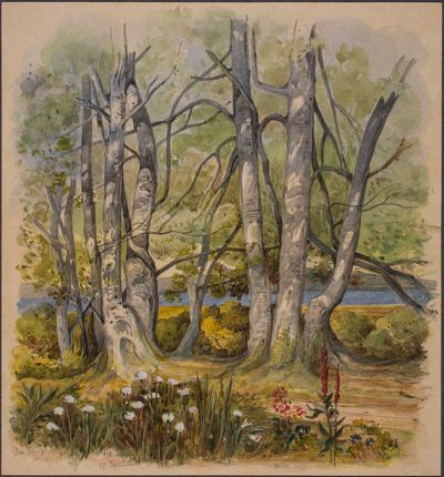 Josef Wilhelm Durm - Im Seeholz bei Holzhausen (Kirchen und Landschaften aus Bayern)