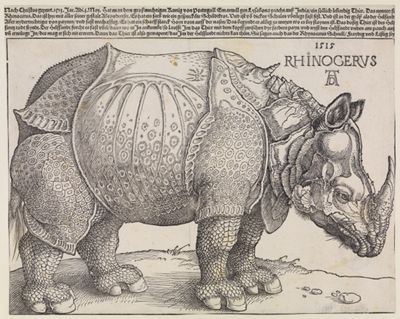 Rhinocerus (Das Rhinozeros)