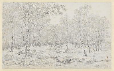 Théodore Rousseau (1812) - Der Wald von Fontainebleau