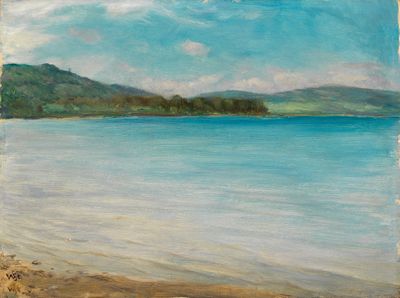 Wilhelm August Theodor Steinhausen - Am Bodensee